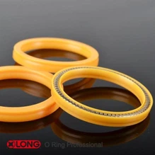 LNG -196 Spring Energised PTFE innsigli