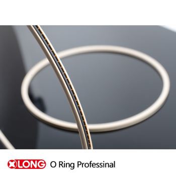 Spring Engergized PTFE Face Seals