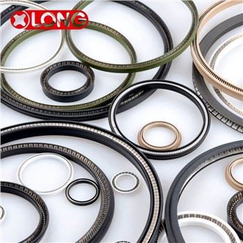 Góð gæði PTFE vorörkuð dæla varalok