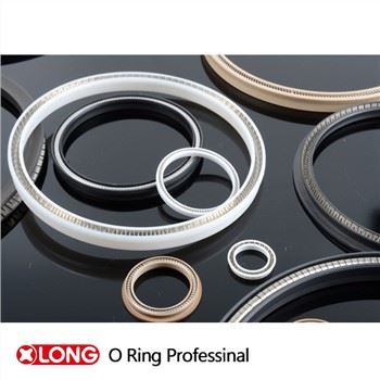 PTFE Spring Energized Shaft Static Seal