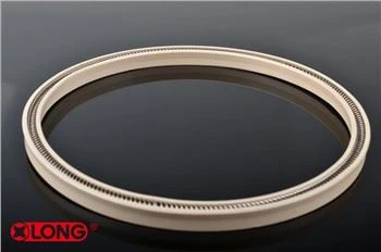 Slant Coil PTFE Spring Energized Seal